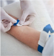 Nutritional Assessment